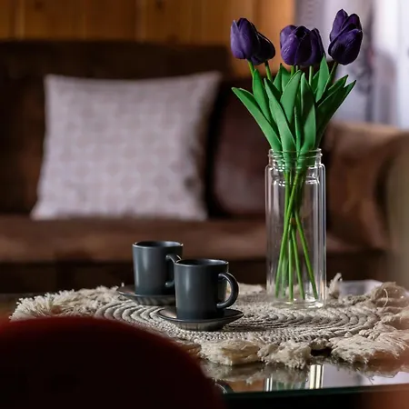 펜션 Spacious House For Families In The Mountains By Renters *